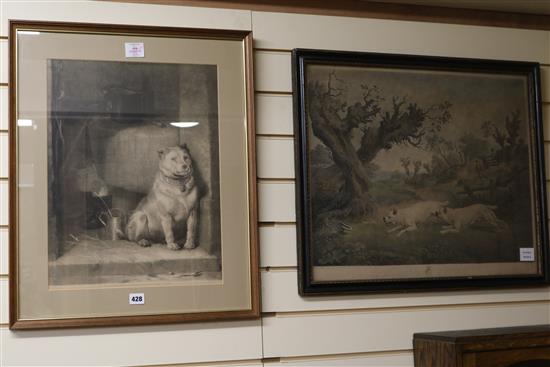Earlom after Town, colour engraving, Bull Dogs and Badger, overall 50 x 60cm and another Bulldog print 48 x 37cm